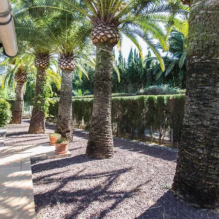 B&B Finca Pepe Denia-3